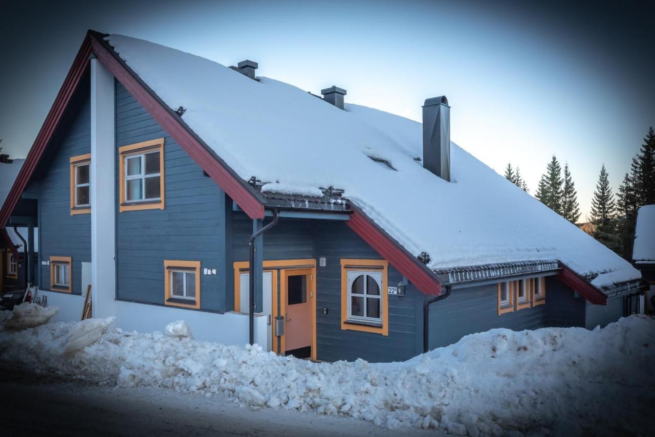 Bakkebyvegen 22B Apartamento Trysil Exterior foto